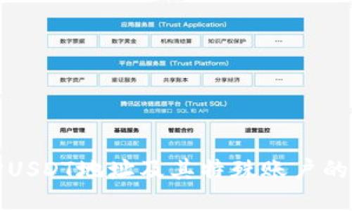 如何查询USDT地址及其特殊账户的详细指南