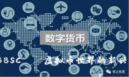 揭秘BSC——虚拟币世界的新兴力量