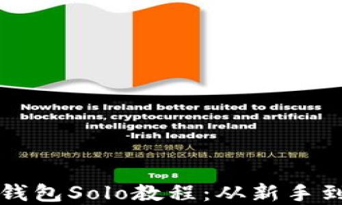 
全面掌握虚拟币钱包Solo教程：从新手到高手的完整指南