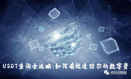 : USDT查询全攻略：如何有效追踪你的数字资产