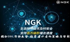揭秘SOL价格走势：投资者