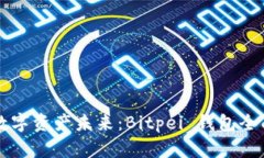 解锁数字资产未来：Bitp