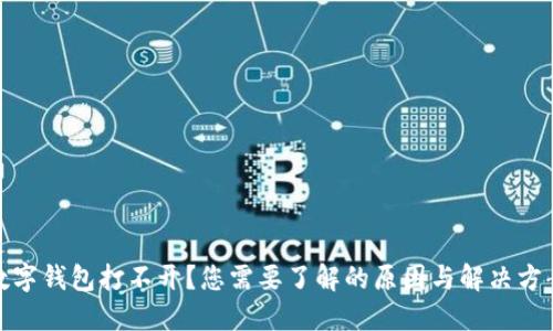 数字钱包打不开？您需要了解的原因与解决方案
