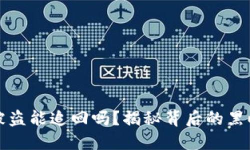 虚拟币钱包被盗能追回吗？揭秘背后的黑暗与保护措施