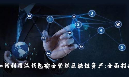 如何利用温钱包安全管理区块链资产：全面指南