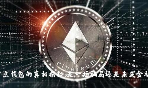 区块链节点钱包的真相揭秘：是一场骗局还是未来金融的希望？