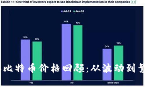 : 2020年比特币价格回顾：从波动到繁荣的历程