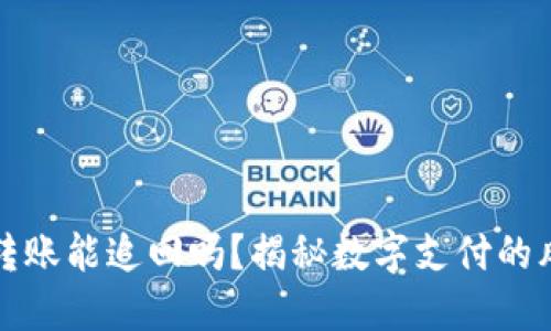 数字钱包转账能追回吗？揭秘数字支付的风险与防范
