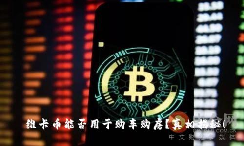  维卡币能否用于购车购房？真相揭秘！