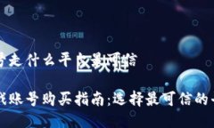 买号走什么平台最可信 游