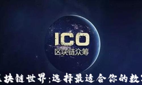 
探索区块链世界：选择最适合你的数字钱包