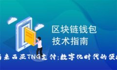 探索马来西亚TNG支付：数