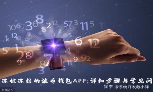 如何解冻被冻结的波币钱包APP：详细步骤与常见问题解答