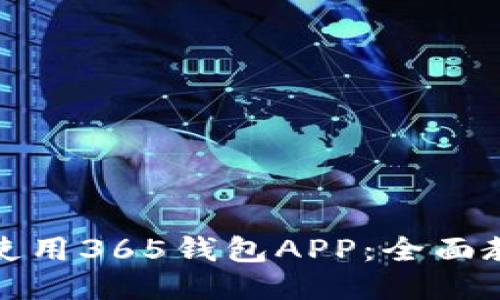 如何高效使用365钱包APP：全面教程与技巧