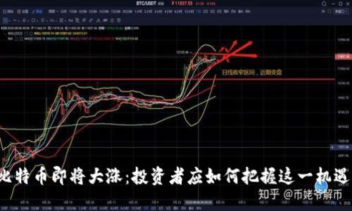 比特币即将大涨：投资者应如何把握这一机遇？