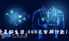 : 轻松享受美好生活：800元分期付款12个月攻略