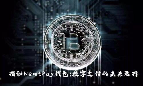  揭秘NewtPay钱包：数字支付的未来选择
