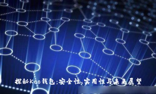 探秘Koo钱包：安全性、实用性与未来展望
