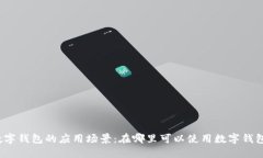 数字钱包的应用场景：在