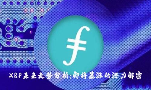 XRP未来走势分析：即将暴涨的潜力解密