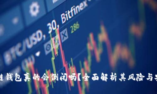 区块链钱包真的会倒闭吗？全面解析其风险与安全性