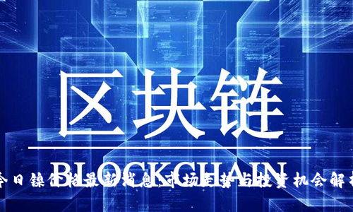 今日镍价格最新消息：市场走势与投资机会解析