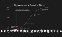 引领未来支付方式的潮流