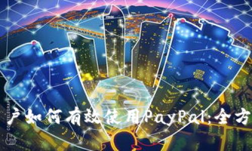 国内用户如何有效使用PayPal：全方位指南