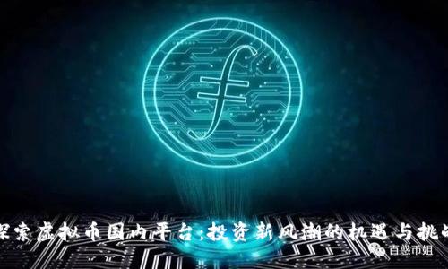探索虚拟币国内平台：投资新风潮的机遇与挑战