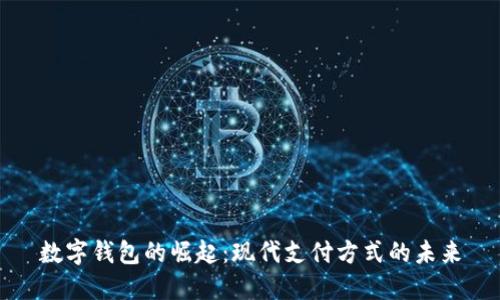 数字钱包的崛起：现代支付方式的未来