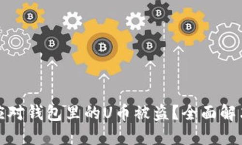 如何应对钱包里的U币被盗？全面解决方案