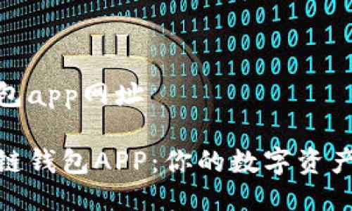 区块链钱包app网址

探索区块链钱包APP：你的数字资产保护之旅