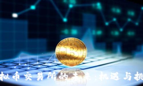   
探索虚拟币交易所的未来：机遇与挑战并存