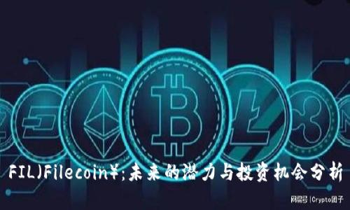 FIL（Filecoin）：未来的潜力与投资机会分析
