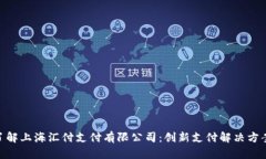 : 深入了解上海汇付支付有限公司：创新支付解决