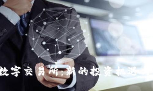 探索B网数字交易所：新的投资机遇与安全策略