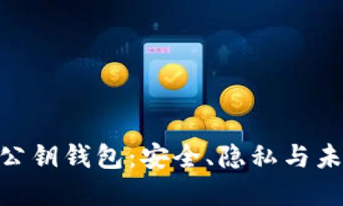 : 解密区块链公钥钱包：安全、隐私与未来的金融革命
