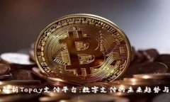全面解析Topay支付平台：数字支付的未来趋势与应