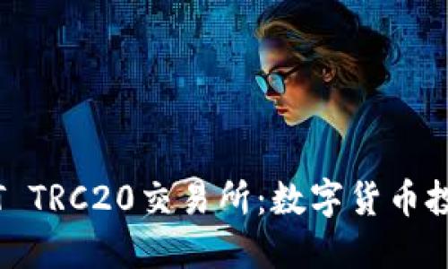 揭秘USDT TRC20交易所：数字货币投资新风口