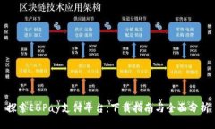 探索EBPay支付平台：下载指南与全面分析