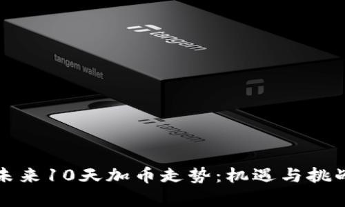解读未来10天加币走势：机遇与挑战并存