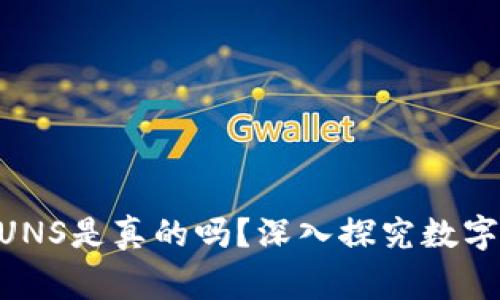 币赢交易所的RUNS是真的吗？深入探究数字货币交易的真相