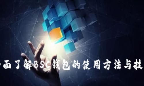 全面了解BSC钱包的使用方法与技巧