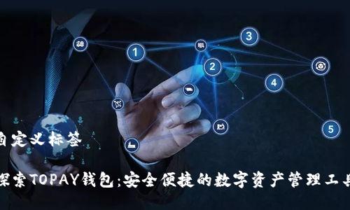 自定义标签

探索TOPAY钱包：安全便捷的数字资产管理工具