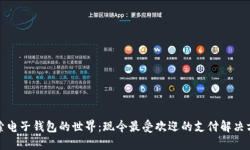 探索电子钱包的世界：现今最受欢迎的支付解决方案