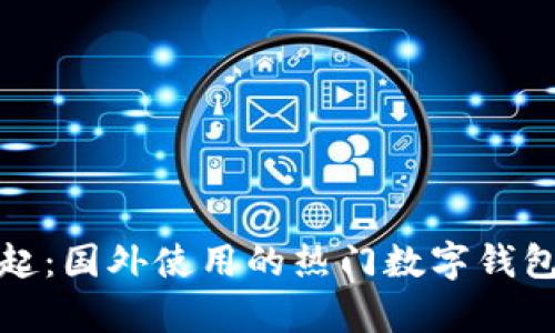 数字钱包的崛起：国外使用的热门数字钱包及其优势分析