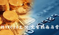 如何成功进行TRC20支付：完