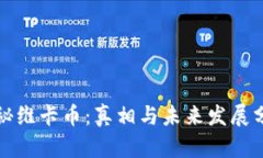 揭秘维卡币：真相与未来