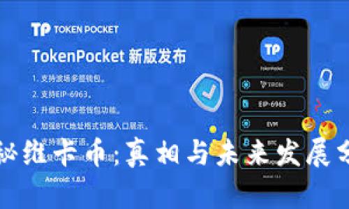 揭秘维卡币：真相与未来发展分析