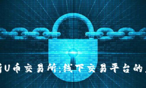 全方位解析U币交易所：线下交易平台的未来与发展